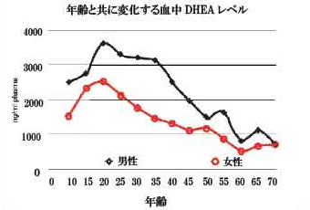 DHEA ベジタリアンカプセル