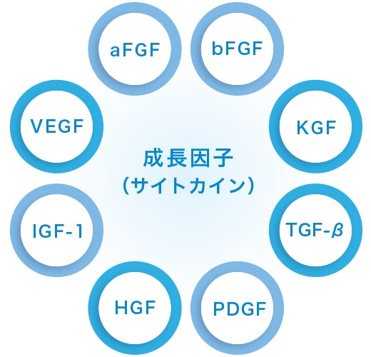 幹細胞培養上清液に含まれる主な成長因子